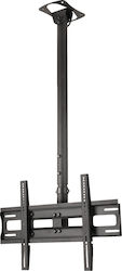 Edbak CMS21 Ceiling TV Mount with Extension Arm up to 65 Inches