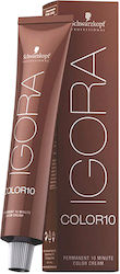 Schwarzkopf Igora Color10 Βαφή Μαλλιών 6-00 Ξαν...