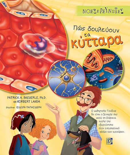 Πώς δουλεύουν τα κύτταρα