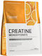 OstroVit Creatine Monohydrate Portocaliu 300gr
