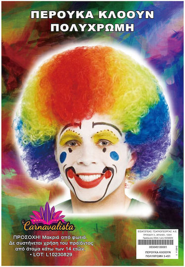 Clown Carnival Wig Afro Multicolour