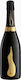 Bottega Spa Wine Vino Dei Poeti Prosecco White Dry Sparkling 750ml