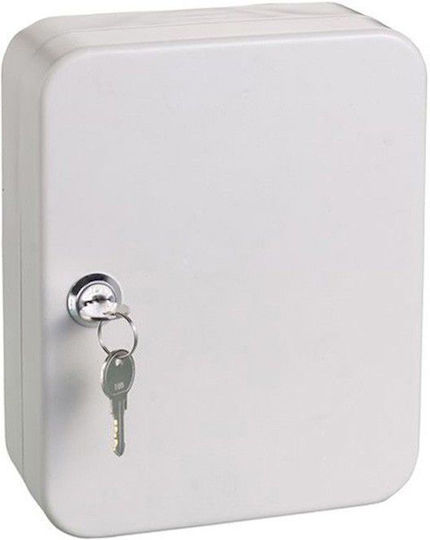 Alco Metallic Wall Key Hook 20 Keys 20 Hooks With Lock 16x20cm