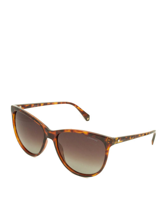 Polaroid Women's Sunglasses with Brown Tartarug...