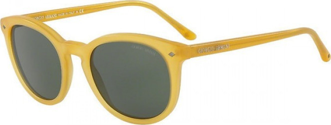 armani art 5006