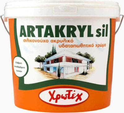 CHrotech Artakryl Silicone Plastic Acrilyc Paint for Exterior Use White 9lt