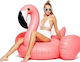 Φουσκωτό Ride On Θαλάσσης Flamingo με Χειρολαβές Ροζ 200x200cm