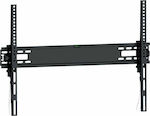 Telco MD4322 050008 Wall TV Mount up to 65" and 30kg