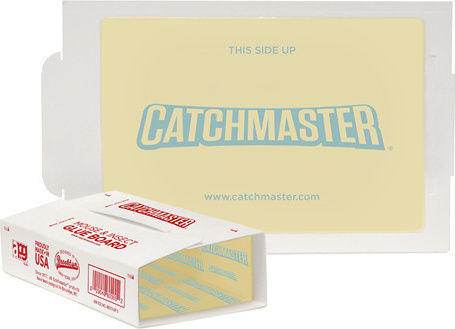 Catchmaster Glue Trap 1pcs