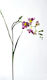 Zaros Artificial Decorative Branch Purple 75cm 1pcs MG982