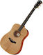 Taylor Semi-Acoustic Guitar Academy 10 Natural