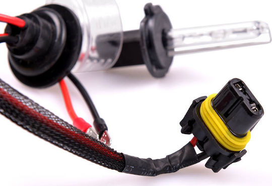 Λάμπες Αυτοκινήτου xenon H7 Xenon 6000K Ψυχρό Λευκό 12V 35W 2τμχ