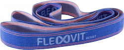 FlexVit 40515 Loop Resistance Band Blue