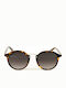 Oozoo Men's Sunglasses with Brown Tartaruga Plastic Frame OSG003-C4