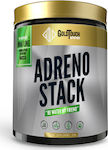 GoldTouch Nutrition Adreno Stack Pre-Workout-Ergänzung 200gr Heidelbeere