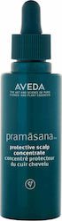 Aveda Pramasana Serum κατά της Λιπαρότητας για Όλους τους Τύπους Μαλλιών Protective Scalp Concentrate 75ml
