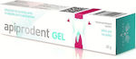 Uplab Pharmaceuticals Apiprodent Gel Gel 20gr