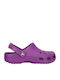 Crocs Classic Kids Anatomical Beach Clogs Purple