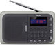 Akai Proffesional APR-210 Tragbares Radio mit USB Schwarz