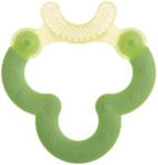 Mam Μασητικό Οδοντοφυΐας Bite & Brush Frog Green από Πλαστικό για 3 m+ Πράσινο