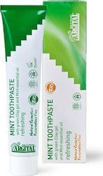 Argital Toothpaste Mint Οδοντόκρεμα Χωρίς Φθόριο 75ml Argital Toothpaste Mint Οδοντόκρεμα Χωρίς Φθόριο 75ml