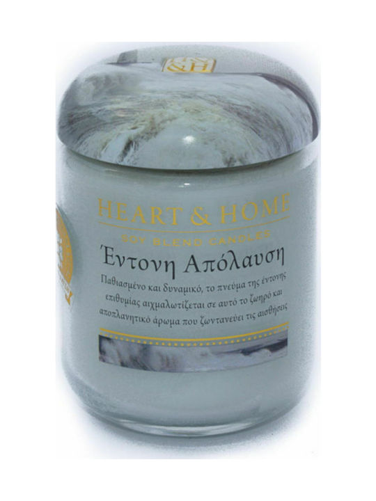 Heart & Home Lumânare Aromată de Soia Borcan cu Aromă Plăcere intensă Alb 340gr 1buc