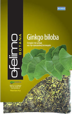 MyMedica Ofelimo Herbs Ginkgo Biloba 40gr