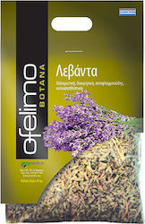 MyMedica Ofelimo Herbs Lavender 40g MyMedica Ofelimo Herbs Lavender 40g