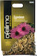 MyMedica Ofelimo Herbs Echinacea 50gr