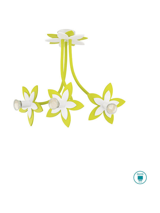 Nowodvorski Flowers
