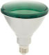 Geyer Λάμπα LED 15W για Ντουί E27 και Σχήμα PAR38 Πράσινο 1350lm