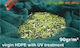 Spartan Olive Net from HDPE 6x12m Density 90g/m²