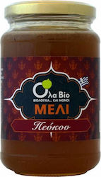 Όλα Bio Produs organic Miere Pin 450gr 1buc ΒΙΟ554