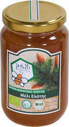 Φασιλής Βιολογικό Μέλι Ελάτης 450gr