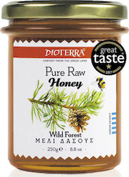 Dioterra Honey Forest Forest Honey 250gr