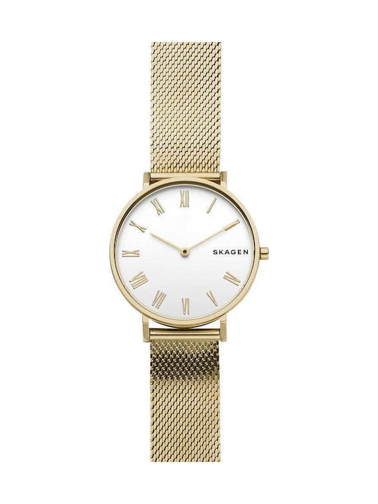 Skagen Uhr mit Gold Metallarmband SKW2713