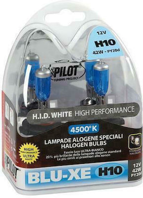 Lampa Lămpi Autoturismului Blue-Xenon H10 Halogen 4500K Alb natural 12V 42W 2buc