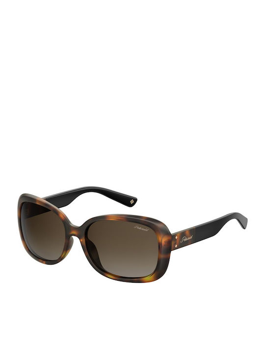 Polaroid Women's Sunglasses with Brown Tartaruga Plastic Frame and Brown Polarized Lens