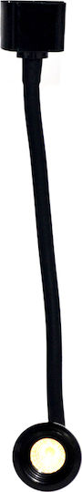 Eurolamp Single LED Spot in Black Color