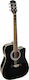 Richwood Ηλεκτροακουστική Κιθάρα RD 12CE Black White / Black