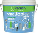 Vechro Smaltoplast Silicone Plastic Acrilyc Ecological Anti-Mildew Paint for Exterior Use White 10lt