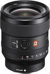 Sony Full Frame Φωτογραφικός Φακός FE 24mm f/1.4 GM Wide Angle για Sony E Mount Black