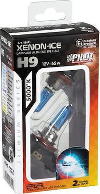 Lampa Lampen Auto Xenon Ice H9 Halogen 5000K Kaltes Weiß 12V 65W 2Stück