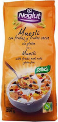 Santiveri Organic Muesli Φρούτων 250gr 1pcs