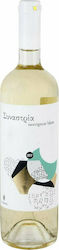 Ampelones Zacharias Synastria White Dry 750ml Ampelones Zacharias Synastria White Dry 750ml