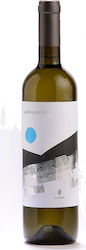 Ampelones Zacharias White Dry 750ml Ampelones Zacharias White Dry 750ml