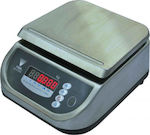 Digi Systems DS-673SS Electronic Commercial Scale 30kg/10gr