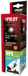 Lampa Λάμπα Αυτοκινήτου HID Xenon H1 Xenon 8000K Ψυχρό Λευκό 12-24V 35W 1τμχ