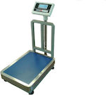 Vector NLD-W-300 Electronic Platform Scale with Beam 300kg/50gr