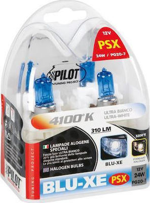 Lampa Lămpi Autoturismului Blu-Xe PSX24W Halogen 4100K Alb natural 12V 24W 2buc